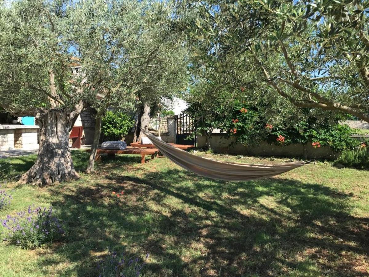 Farmhouse Cubani Bale Εξωτερικό φωτογραφία